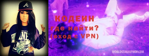 шишки Новозыбков