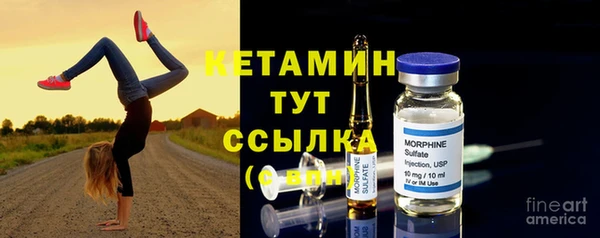 шишки Новозыбков