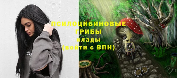шишки Новозыбков