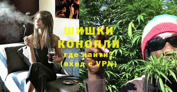 шишки Новозыбков