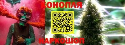 соль ск Гатчина
