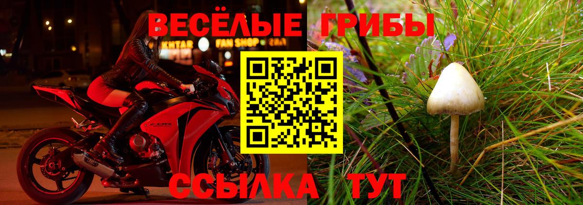 Галлюциногенные грибы мухоморы Киреевск