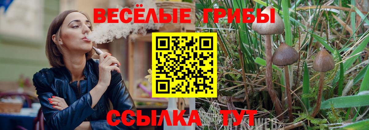 Галлюциногенные грибы Magic Shrooms  Псилоцибиновые грибы GOLDEN TEACHER  Киреевск 