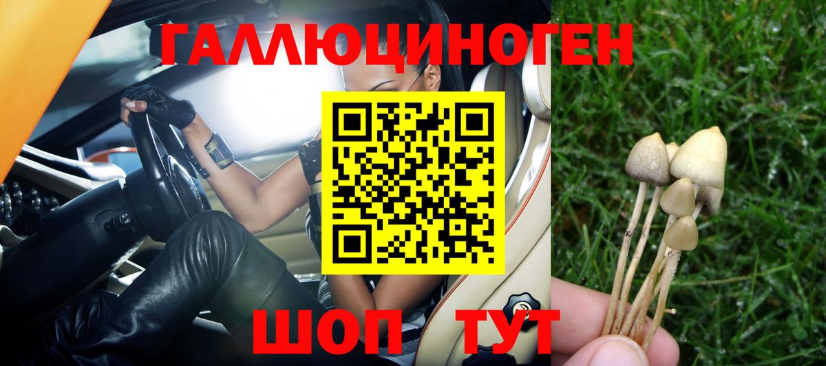 Галлюциногенные грибы MAGIC MUSHROOMS Киреевск