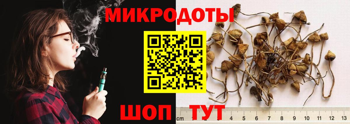 где купить наркоту  Псилоцибиновые грибы GOLDEN TEACHER  Псилоцибиновые грибы мухоморы  Вход с VPN  Киреевск 